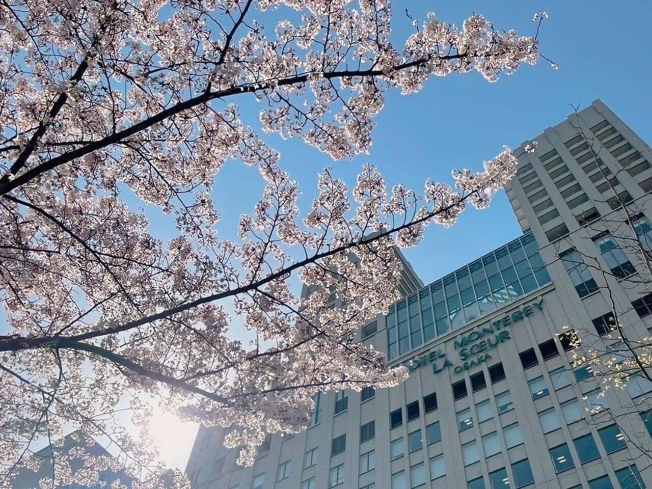 Hotel Monterey La Soeur Osaka Esterno foto